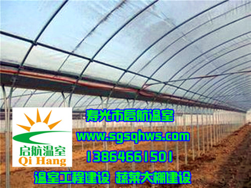 智能溫室建設     薄膜智能連棟溫室   壽光市啟航溫室原始圖片2