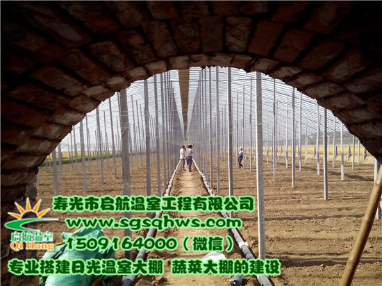 溫室建設    冬暖式棉被拱棚   壽光市啟航溫室原始圖片3