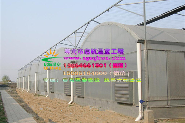 溫室大棚建設  幾字鋼溫室大棚   壽光市啟航溫室