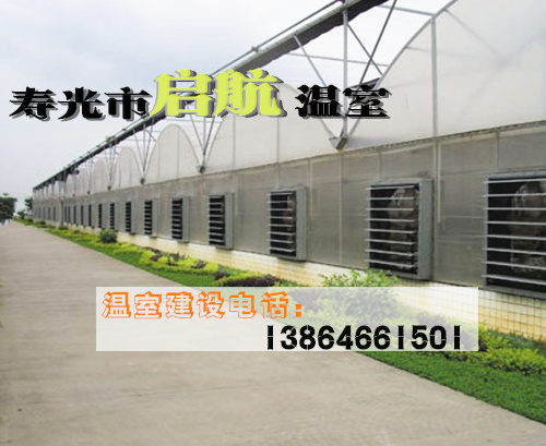 智能溫室   陽光板連棟智能溫室   壽光市啟航溫室