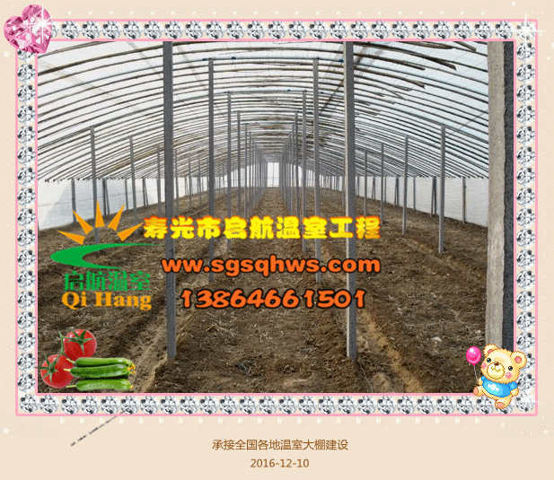 智能溫室造價(jià)   玻璃連棟智能溫室   壽光市啟航溫室