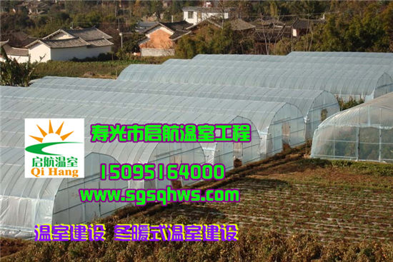 大棚建設    有立柱拱棚   壽光市啟航溫室原始圖片2