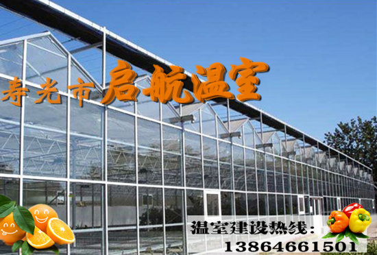 智能溫室造價(jià)   玻璃連棟智能溫室   壽光市啟航溫室
