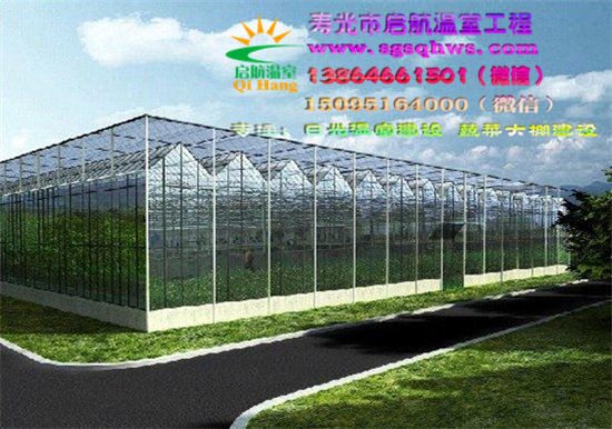 智能溫室造價(jià)   玻璃連棟智能溫室   壽光市啟航溫室原始圖片3