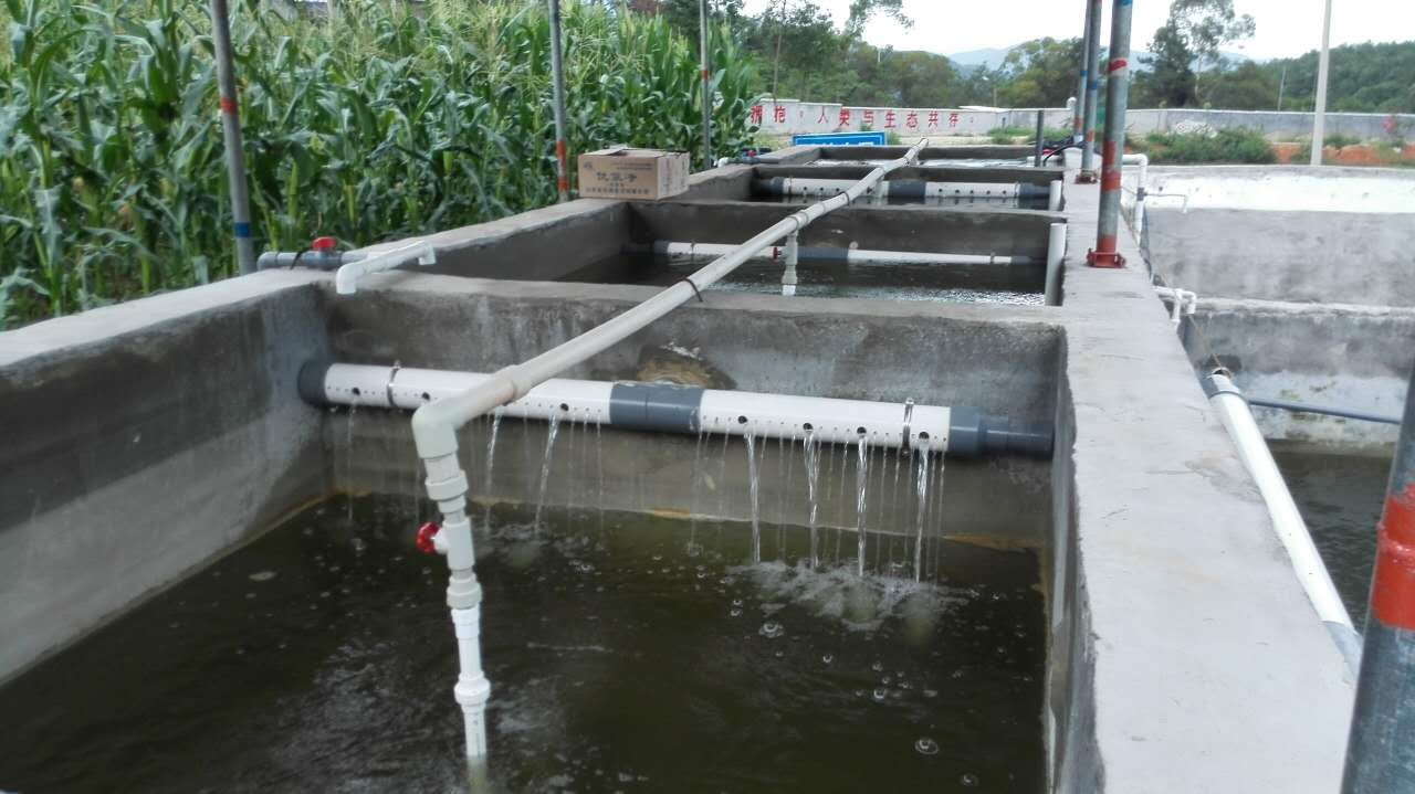 【誠薦】泰州污水處理訊息 污水處理工藝供應商