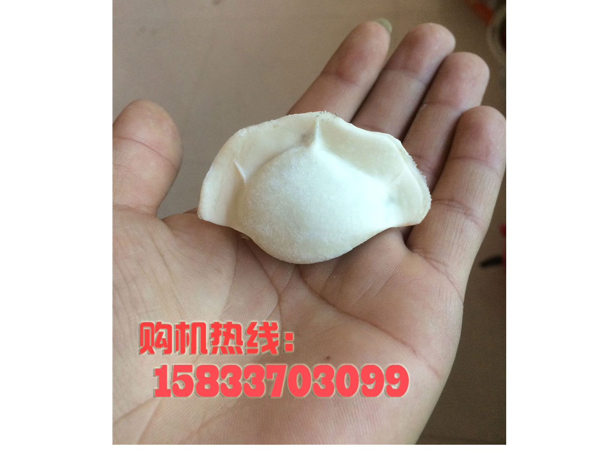 菜丸子機：價格實惠的全自動肉丸機在哪可以買到