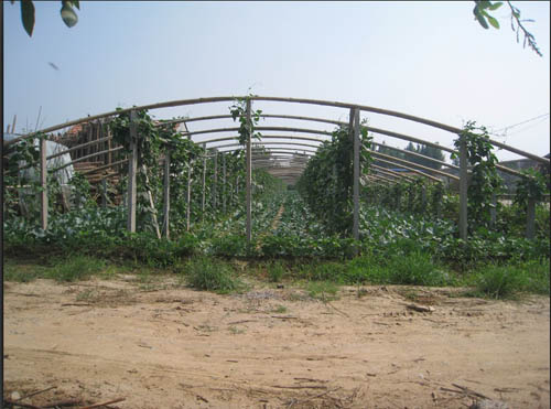 新款水泥檁條富盈建材供應(yīng)——大棚檁條供應(yīng)