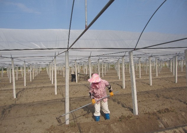 富盈建材信譽好的水泥檐板銷售商，建筑用水泥檐板廠家