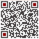 四平貝殼工藝品、貝殼十二生肖貨源