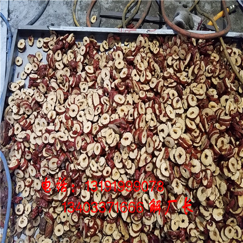 浙江阿克蘇大棗切片機