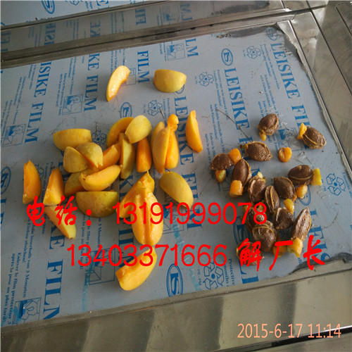 山西蘭州大接杏挖核機(jī)原始圖片2