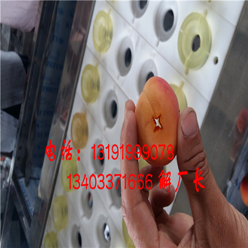 河南曹杏去核機