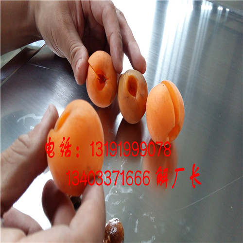 西藏曹杏核肉分離機原始圖片2