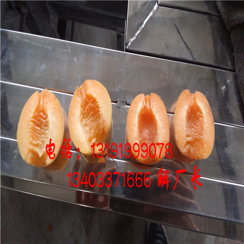 西藏曹杏核肉分離機原始圖片3