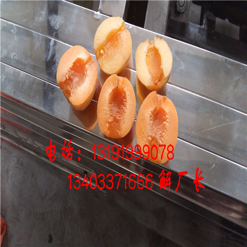 甘肅香白杏挖核機(jī)原始圖片2