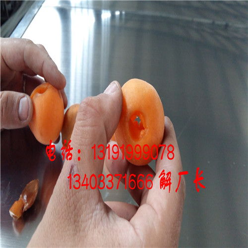 內(nèi)蒙古紅金榛挖核機(jī)原始圖片2