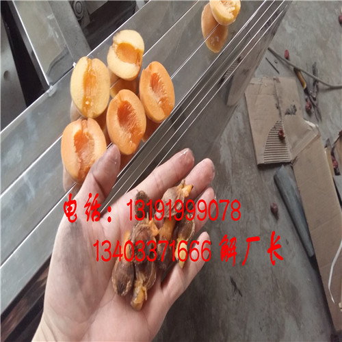 內(nèi)蒙古紅金榛去核機原始圖片2