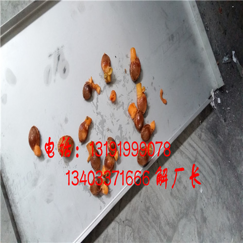 貴州珍珠油杏子去核機原始圖片3