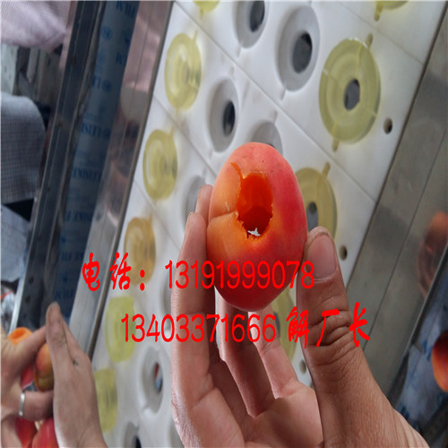 貴州珍珠油杏子去核機