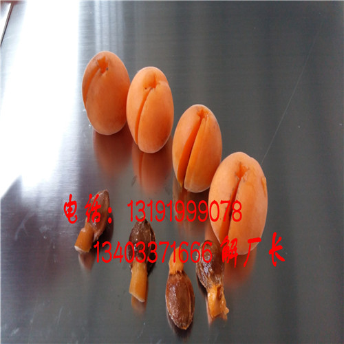 云南金壽杏子去核機原始圖片2