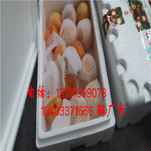 海南大棚王杏去核機原始圖片2
