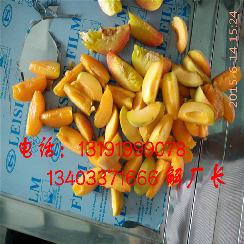 安徽香白杏去核機(jī)