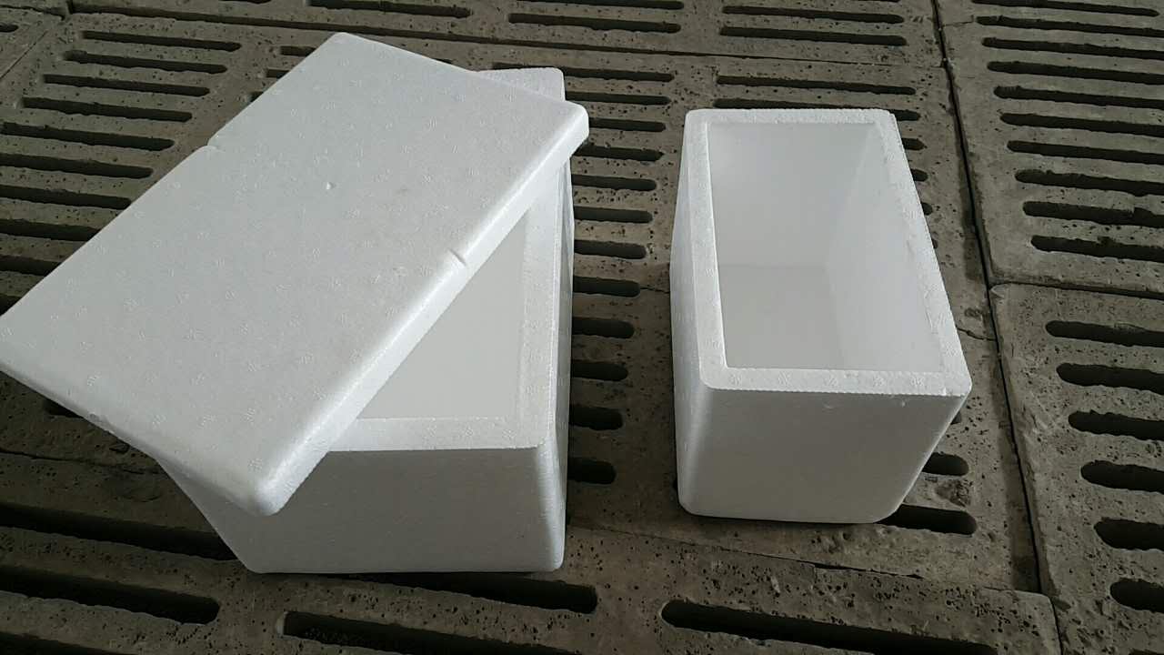 優(yōu)質(zhì)的泡沫箱，安泰保溫提供：生鮮水果保溫箱