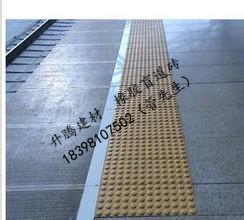 南充室內橡膠盲道磚遂寧室外橡膠防滑地板行道磚指示磚原始圖片2