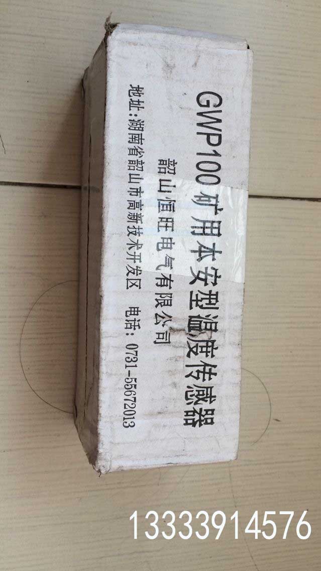 礦用本安型溫度傳感器GWP100銷售原始圖片2