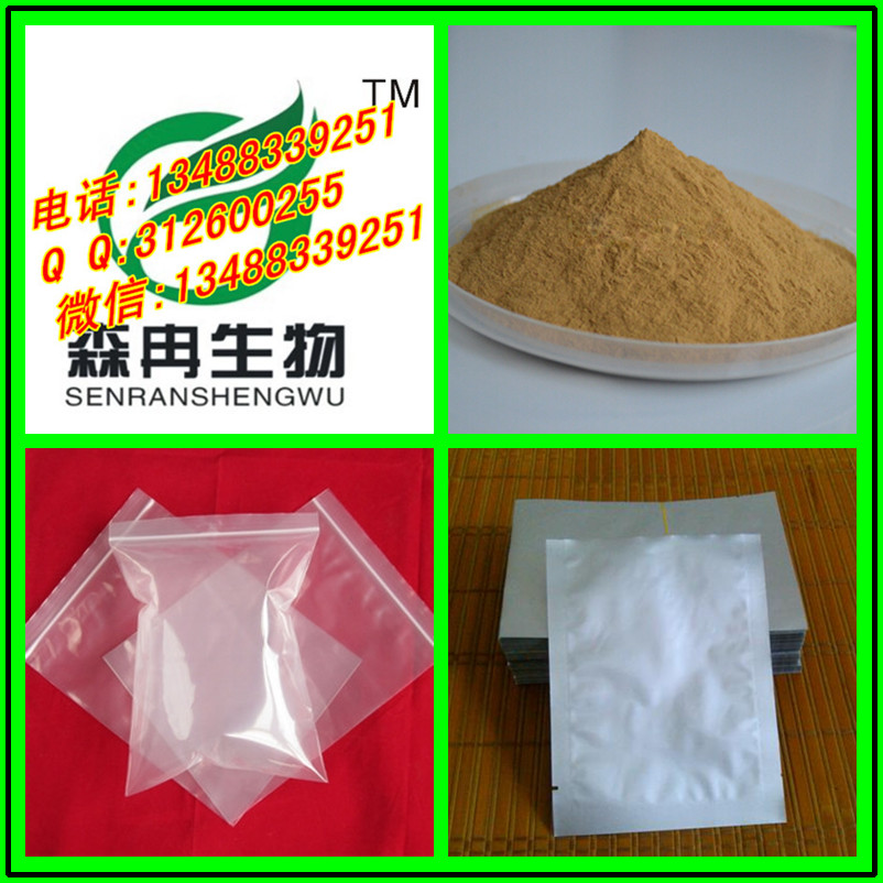 矮地茶提取物 紫金牛提取物 森冉生物廠家直銷原始圖片2