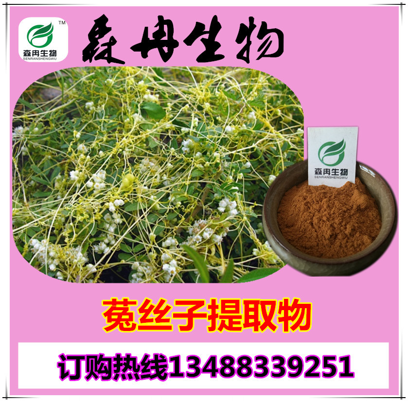 菟絲子提取物 菟絲實提取物 森冉生物廠家直銷