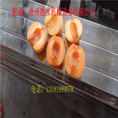 仰韶黃杏子去核機多少錢一臺