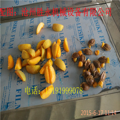 串枝杏子去核機(jī)多少錢一臺