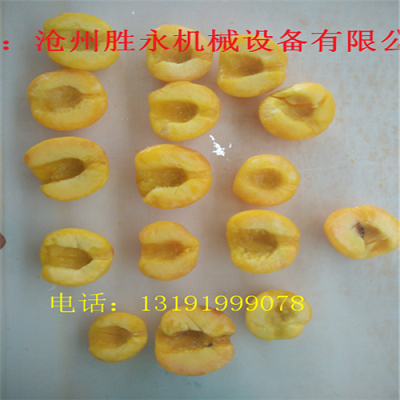 串枝杏子去核機(jī)多少錢一臺