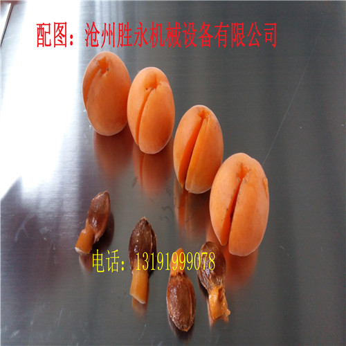 白水杏子去核機(jī)多少錢一臺(tái)