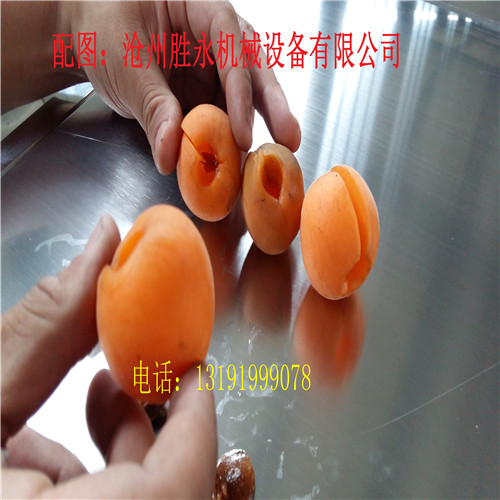 紅金榛杏子去核機(jī)多少錢一臺