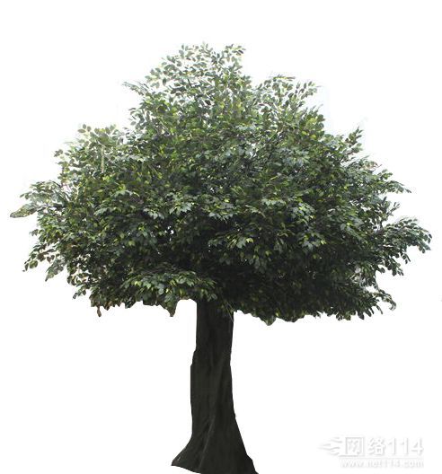 仿真榕樹 2sv2公司 婚禮影樓仿真榕樹 LED