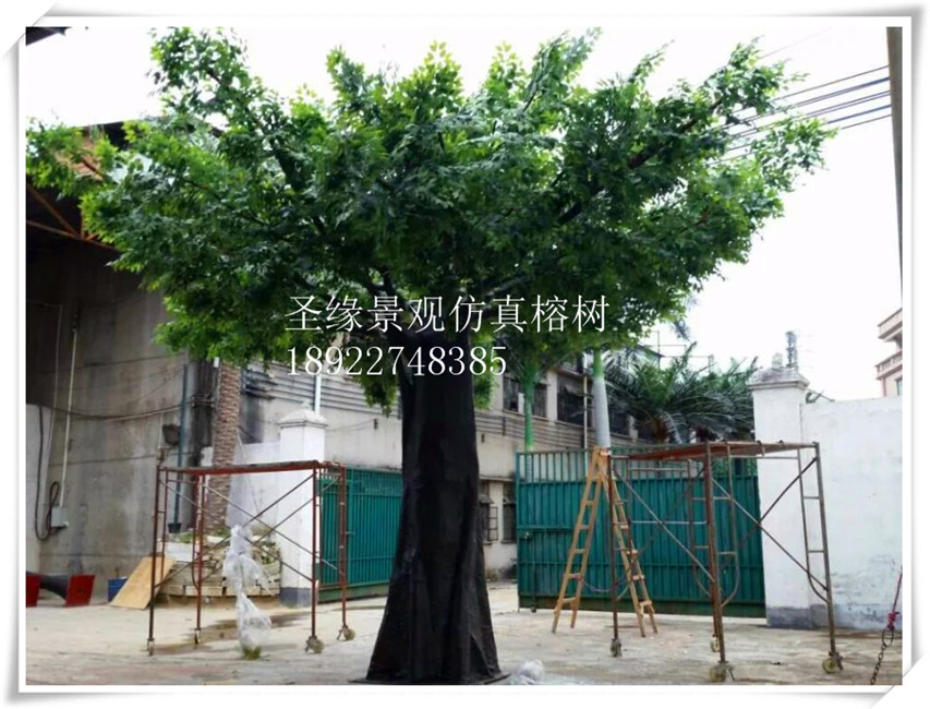 仿真榕樹 sv價格 大小微型 微景觀 榕樹小擺件