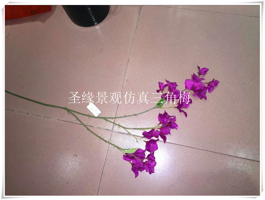 仿真三角梅公司 大 北京批發(fā)仿真三角梅 產(chǎn)家定做 迷你仿真三角梅 大樹(shù)