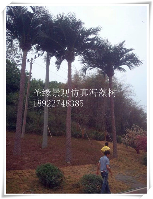 仿真海棗樹公司 大 北京批發仿真海棗樹 產家定做 迷你仿真海棗樹 大樹