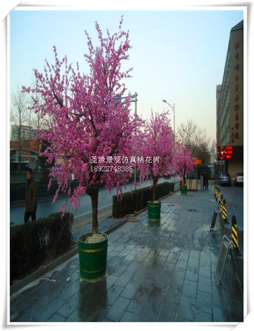廣州仿真櫻花樹 櫻花樹 上海LED仿真櫻花樹果實 仿真櫻花樹裝飾