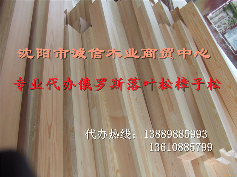 盤錦楊木