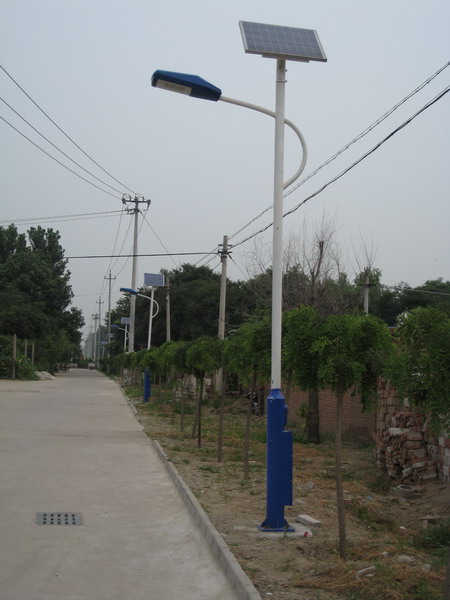 厂家定制led景观灯 庭院灯户外草坪广场公园路灯小区节能庭院灯