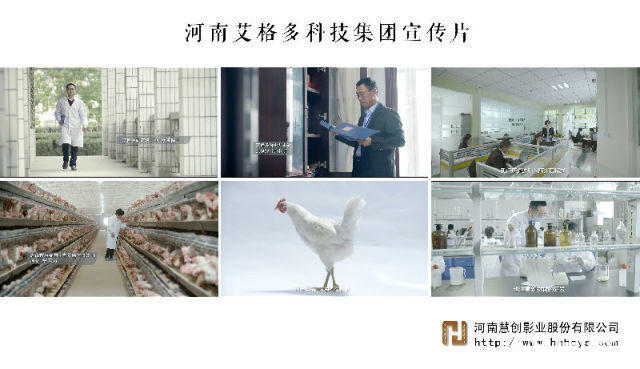 河南金融企業(yè)宣傳片解說(shuō)詞真實(shí)性調(diào)研河南企業(yè)形象片制作慧創(chuàng)