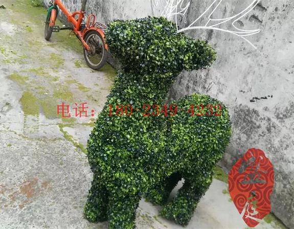 廣州市盛庭_精品真動(dòng)物供應(yīng)商 真蛇果樹(shù)