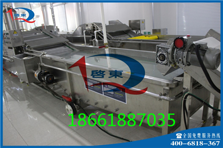 啟東QD-528 氣泡式紅棗清洗機