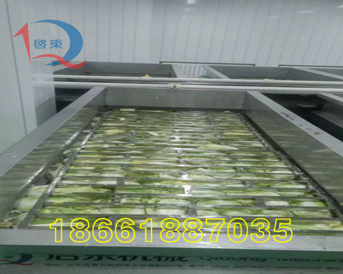 啟東QD-685泡菜設(shè)備，小型泡菜加工流水線原始圖片3