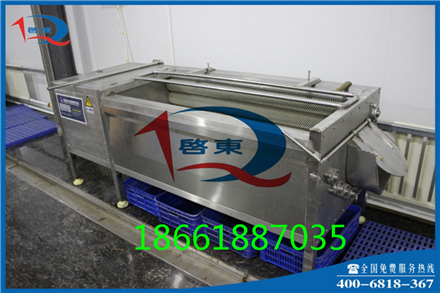 啟東QD-24豆角清洗設(shè)備 蕓豆清洗機(jī)