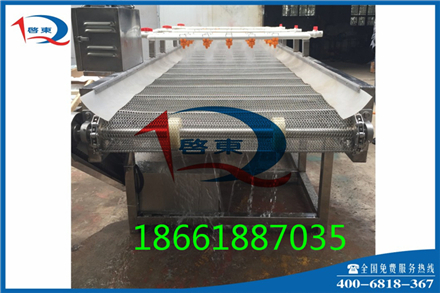 啟東QD-675中藥材清洗機|草藥清洗機
