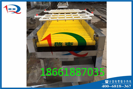 啟東QD-675中藥材清洗機|草藥清洗機原始圖片2